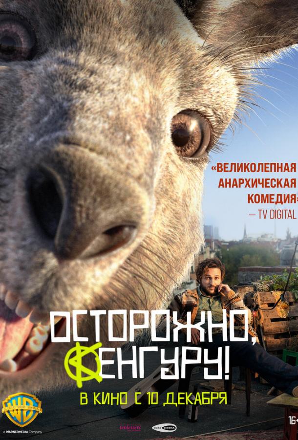 Осторожно, Кенгуру! (2020) онлайн бесплатно
