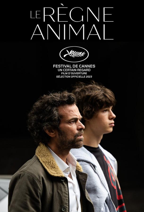 Королевство зверей (2023) онлайн бесплатно