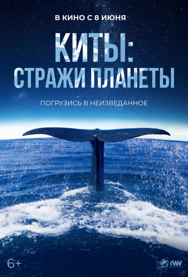 Киты: Стражи планеты (2023) онлайн бесплатно