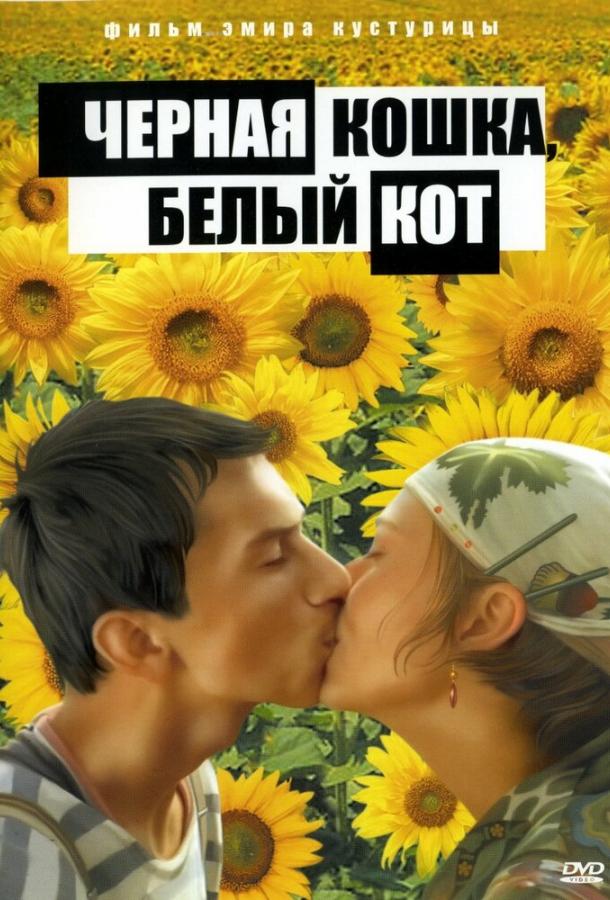 Черная кошка, белый кот (1998) онлайн бесплатно