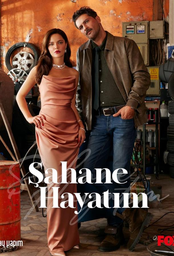 Моя прекрасная жизнь (2023) онлайн бесплатно