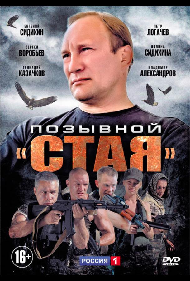Позывной «Стая» (2013) онлайн бесплатно