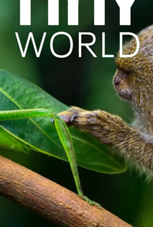 Крошечный мир (2020) онлайн бесплатно