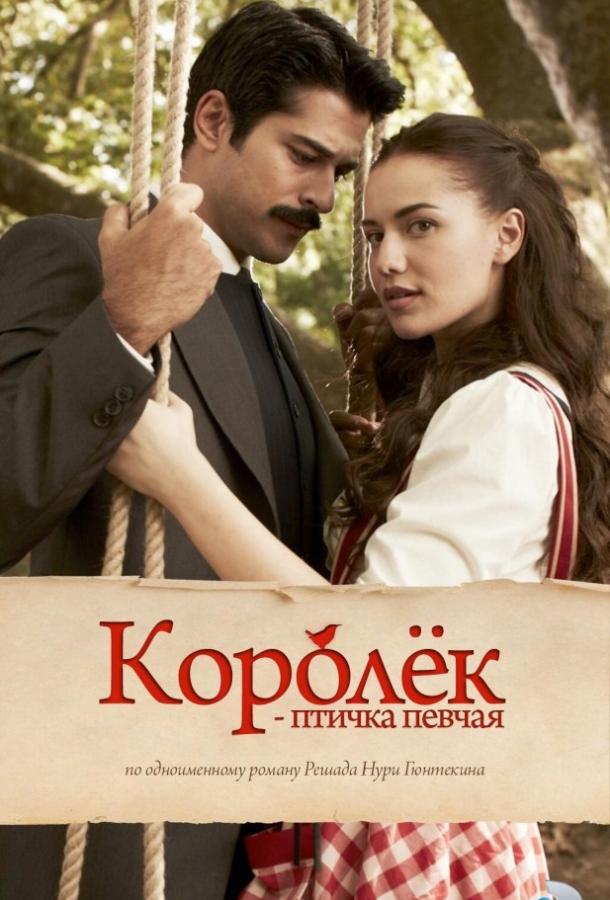 Королёк - птичка певчая (2013) онлайн бесплатно